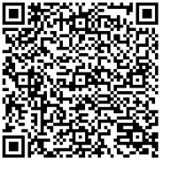 Example Image